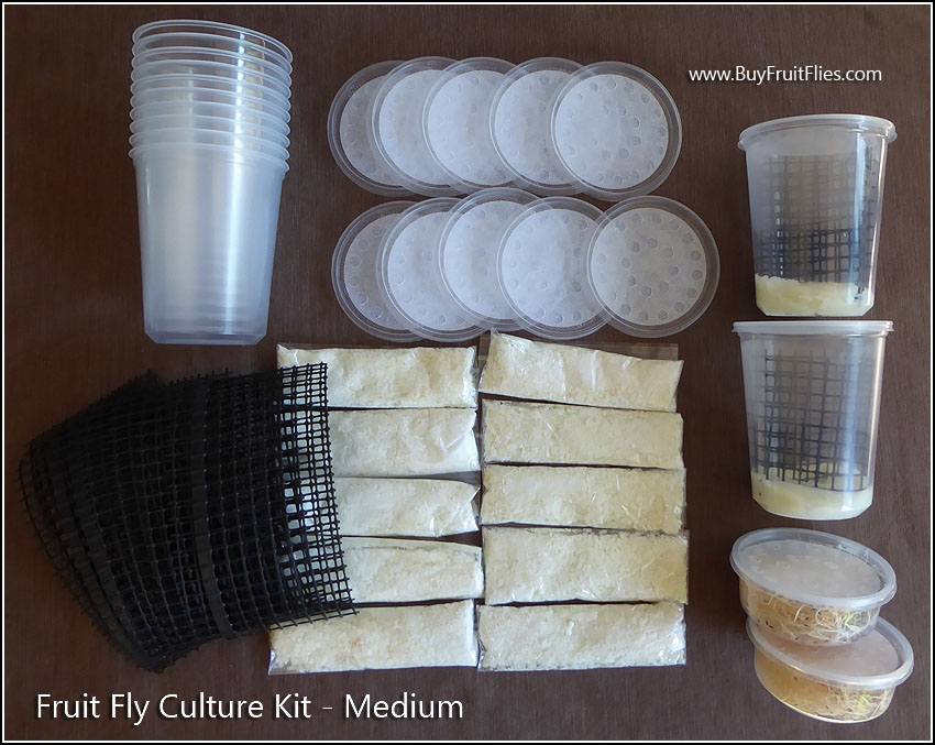 Medium Fruit Fly Kit