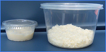Microworm Jumbo Culture
